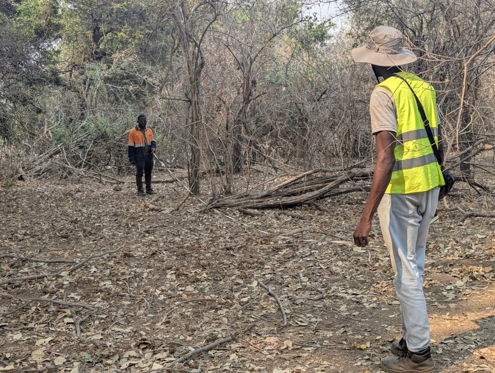 Feasibility Solutions