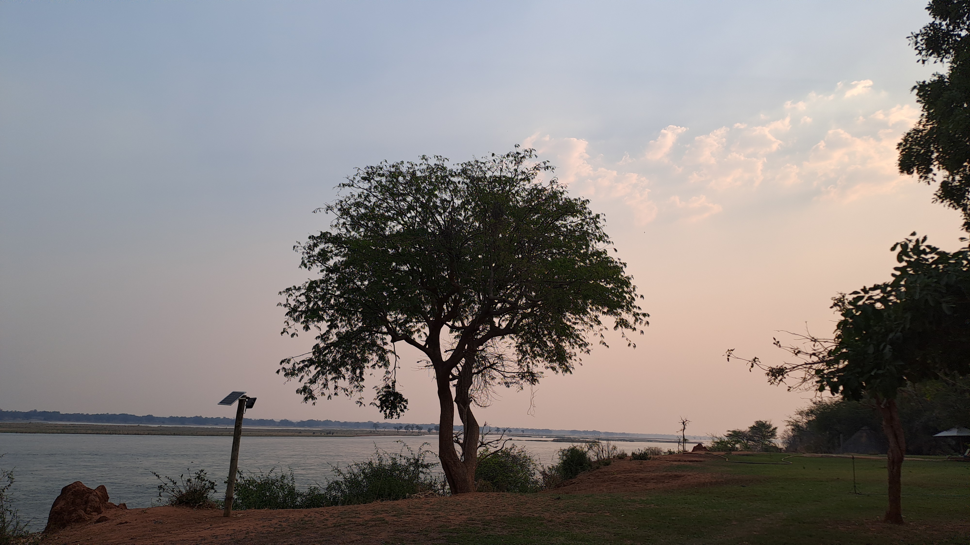 Environmental Services