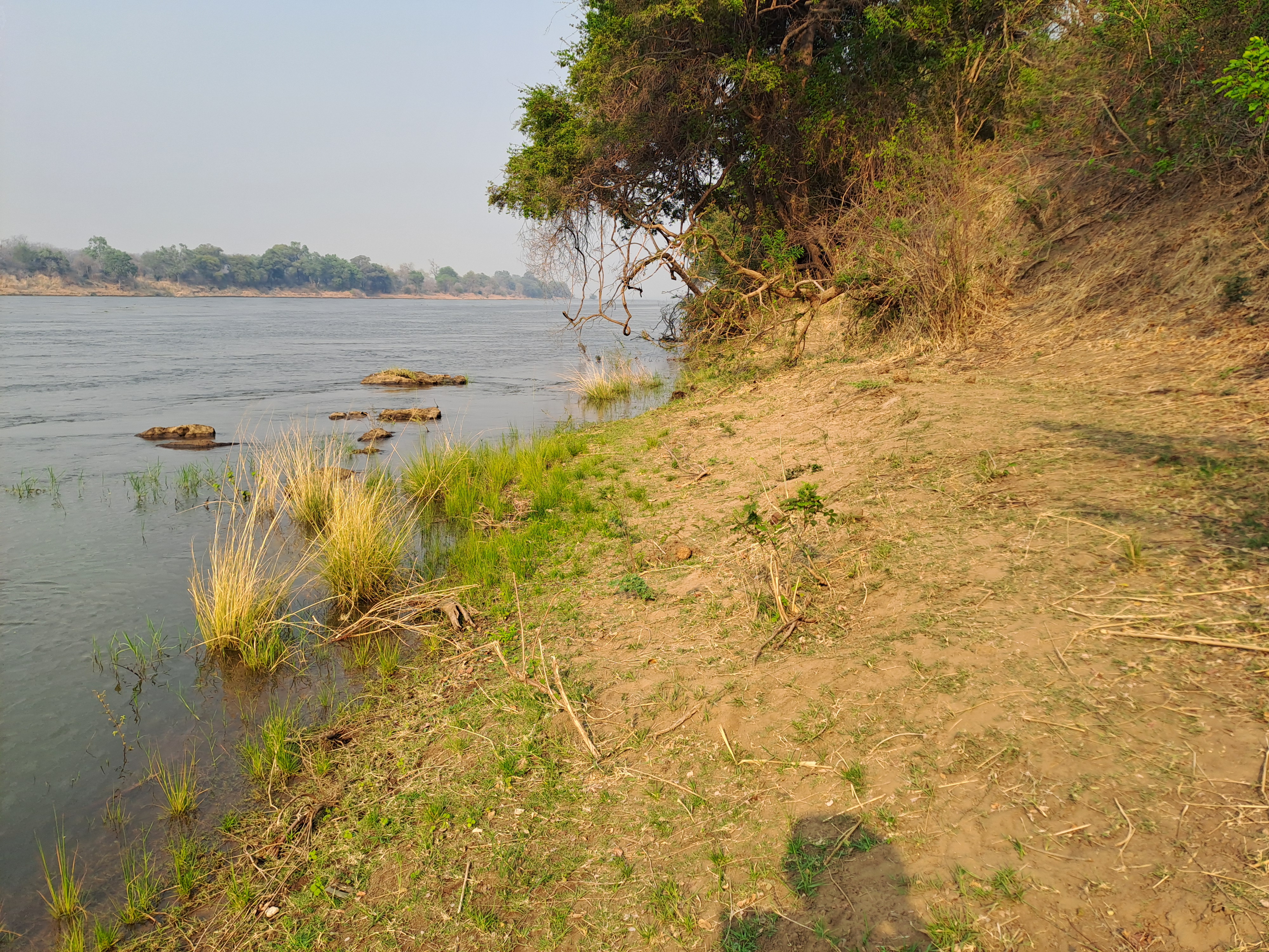 Water body representing environmental services