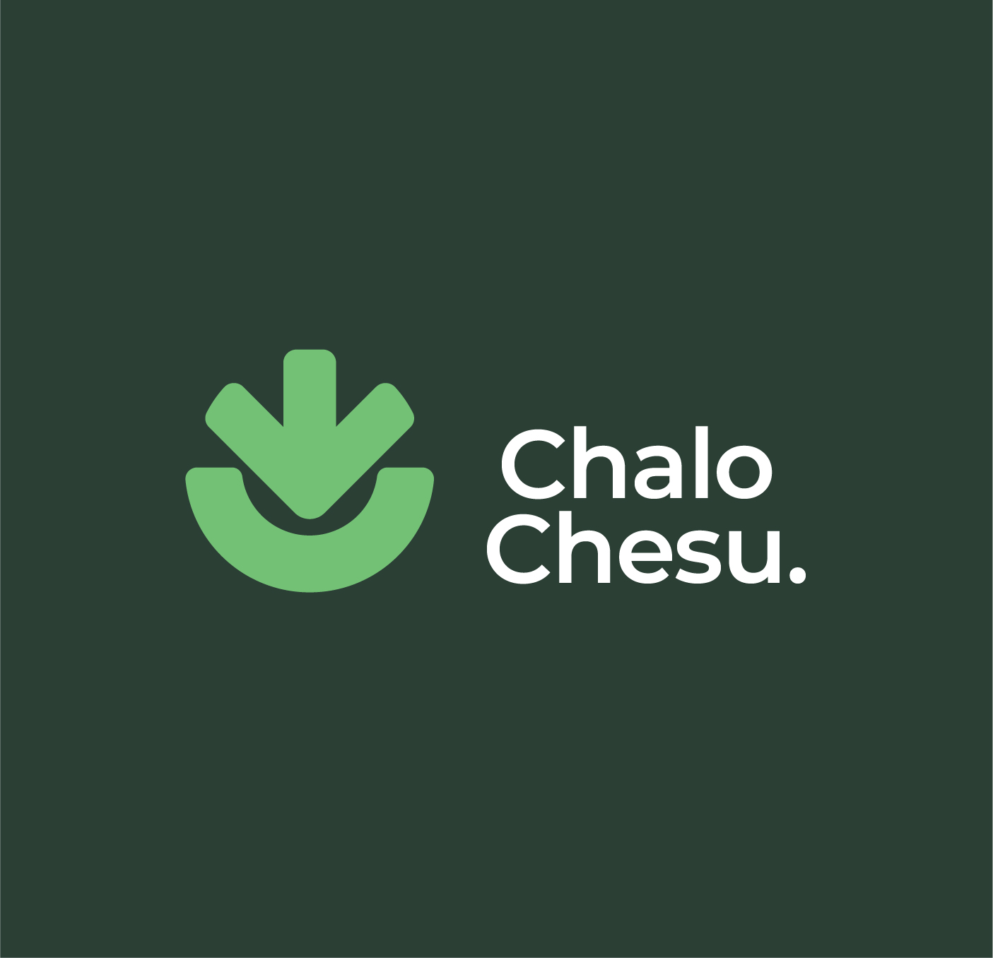 Chalo Chesu Environmental Consulting Limited