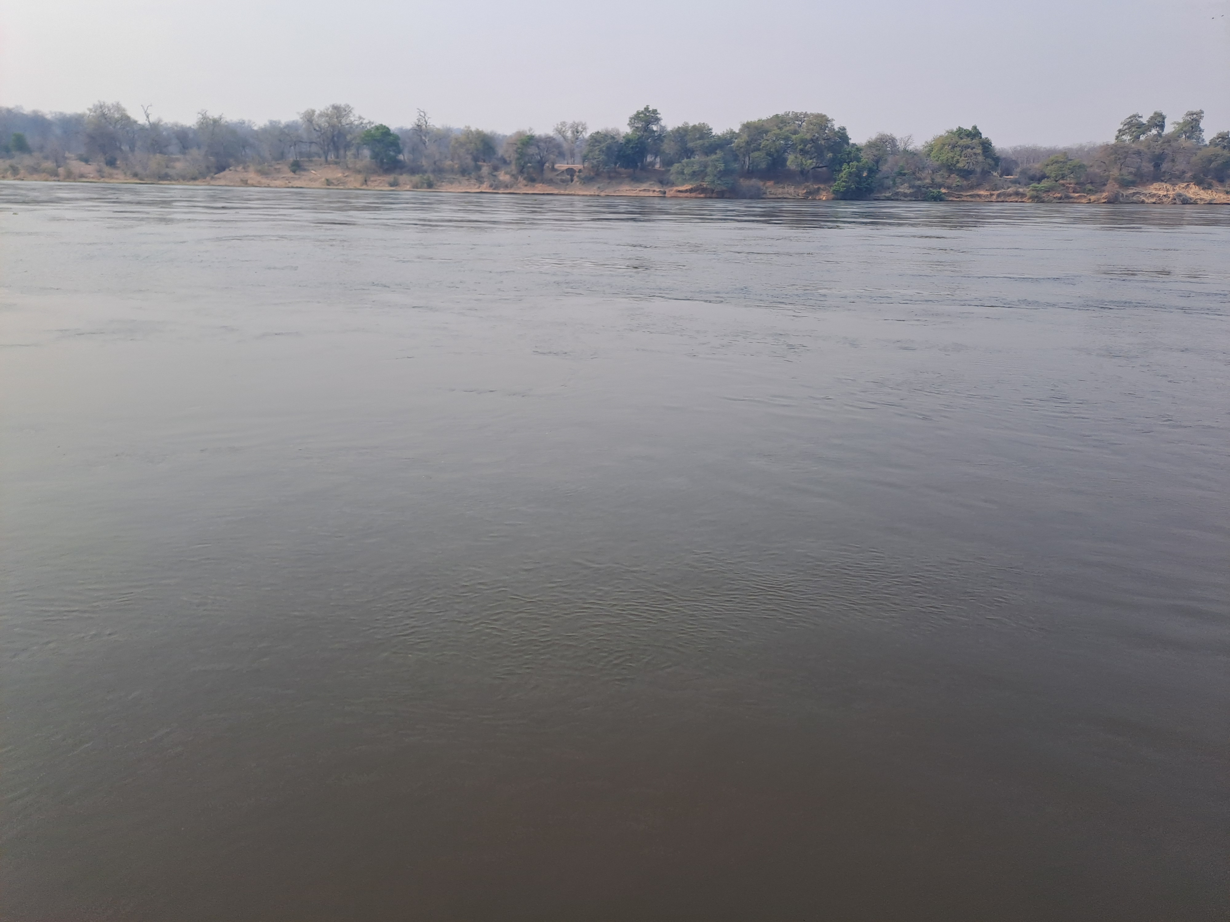 Sustainability & Climate Services